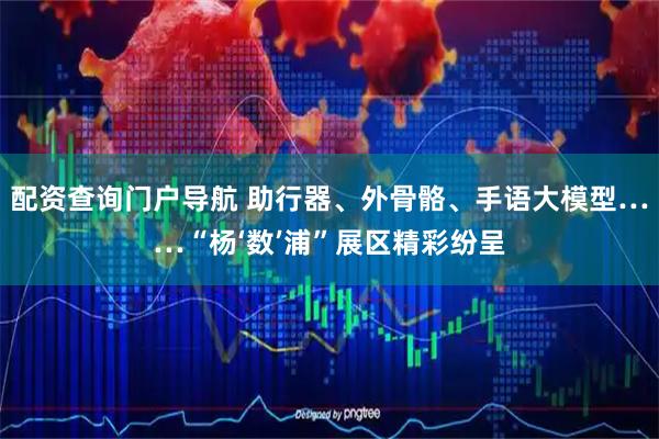 配资查询门户导航 助行器、外骨骼、手语大模型……“杨‘数’浦”展区精彩纷呈