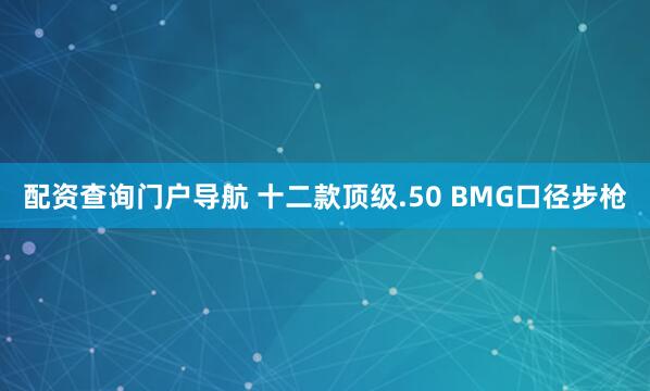 配资查询门户导航 十二款顶级.50 BMG口径步枪